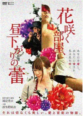 哥哥你别跑电视剧详情